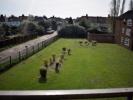 Location Appartement Ilford  Angleterre