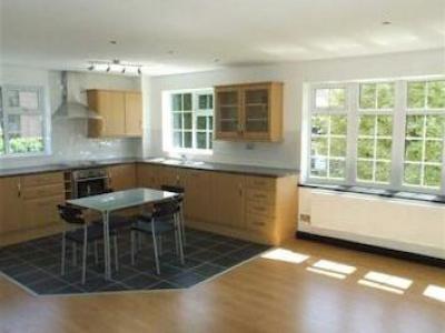 Location Appartement BELPER DE56 