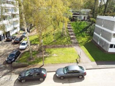 Location Appartement BRENTWOOD CM13 