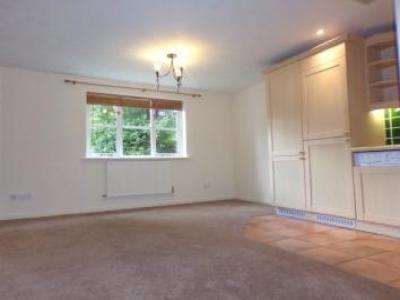 Location Appartement BRENTWOOD CM13 