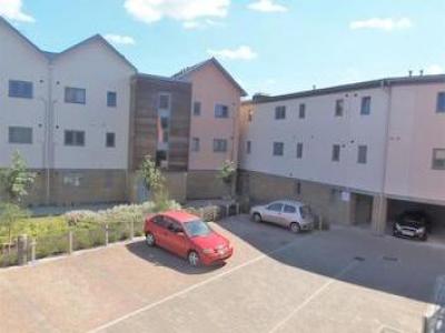 Location Appartement COLCHESTER CO1 1