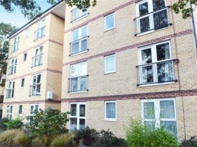 Location Appartement HOUNSLOW TW3 1