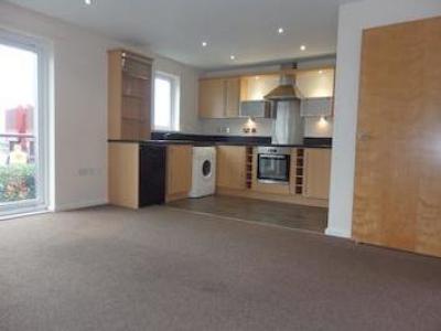 Location Appartement LLANELLI SA14 