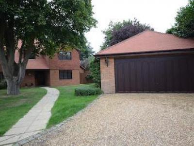 Location Maison MAIDENHEAD SL6 0