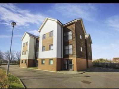 Location Appartement NORTH-SHIELDS NE29 