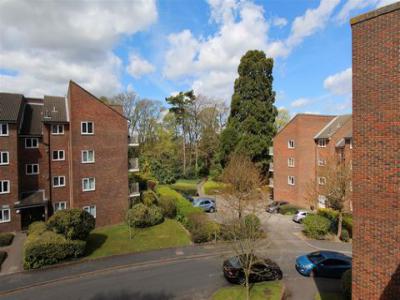 Annonce Location Appartement Banstead