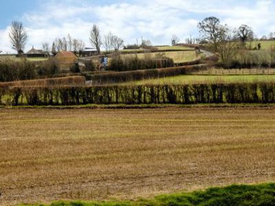 Acheter Maison South-petherton rgion TAUNTON