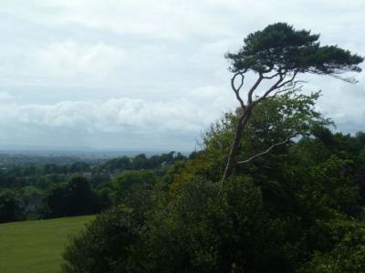 Acheter Appartement Hastings rgion TONBRIDGE