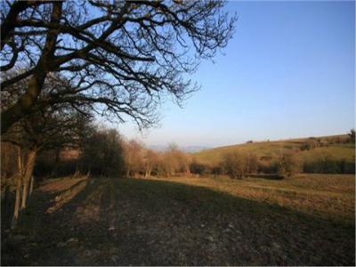 Acheter Terrain Lampeter rgion SWANSEA