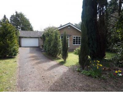 Annonce Vente Maison Ringwood