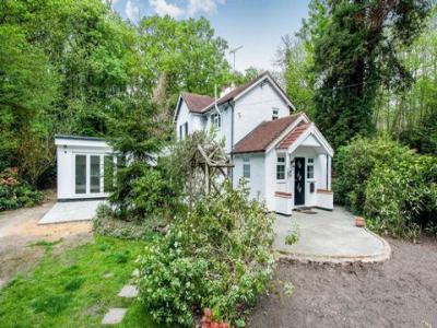 Annonce Location Maison Walton-on-thames