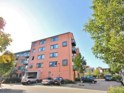 Annonce Location Appartement Isleworth