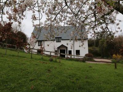 Annonce Vente Maison Newton-abbot