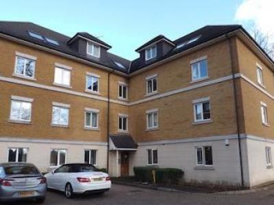 Annonce Location Appartement Southampton