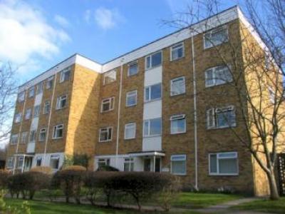 Annonce Location Appartement Camberley