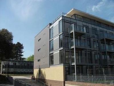 Annonce Location Appartement St-albans