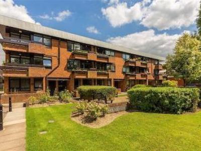 Annonce Location Appartement St-albans