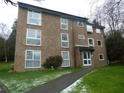 Annonce Location Appartement South-croydon