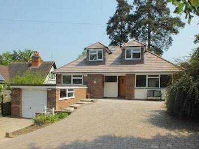 Annonce Vente Maison Woking