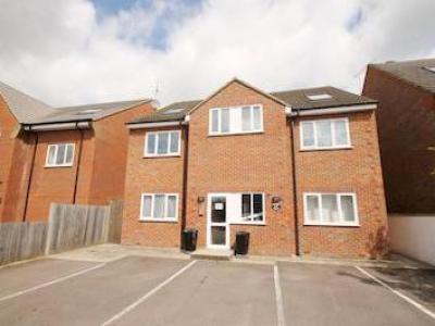 Annonce Location Appartement St-albans