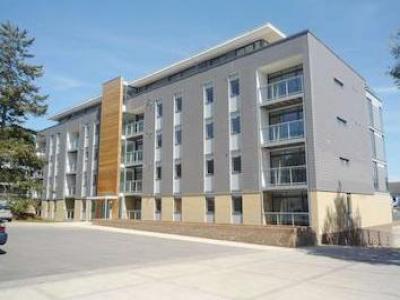 Annonce Location Appartement St-albans