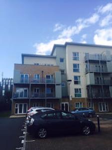 Annonce Location Appartement Hounslow