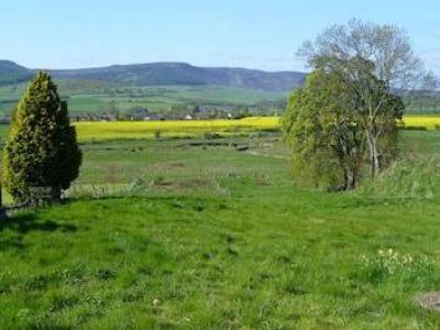 Annonce Vente Terrain Morpeth