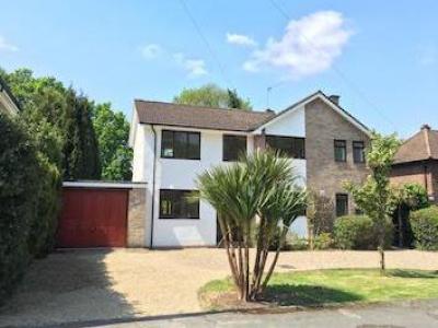 Annonce Location Maison Walton-on-thames