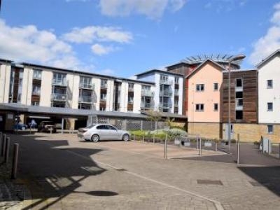 Annonce Location Appartement Colchester