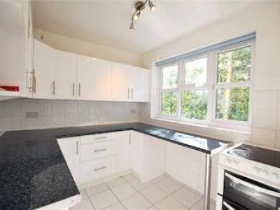 Annonce Location Appartement Ascot