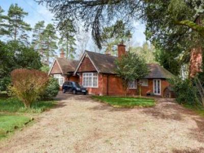 Annonce Vente Maison Crowthorne