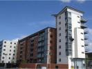 Annonce Location Appartement SWANSEA