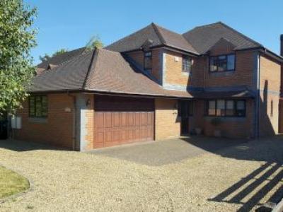 Annonce Location Maison Didcot