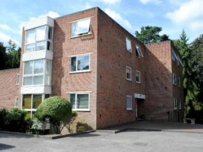 Annonce Location Appartement Ascot