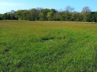 Acheter Terrain Llandysul