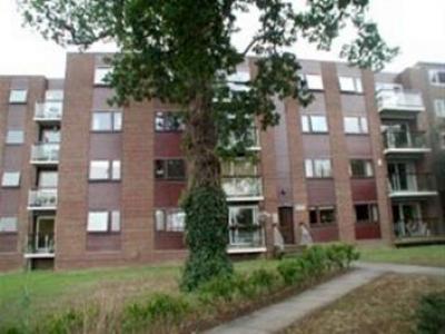 Annonce Location Appartement Buckhurst-hill