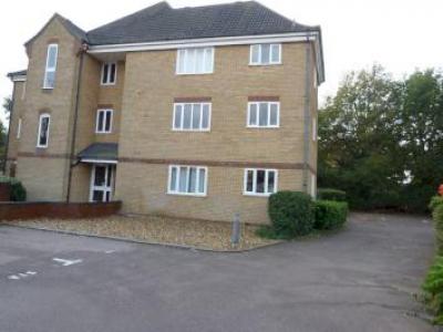 Annonce Location Appartement Ipswich