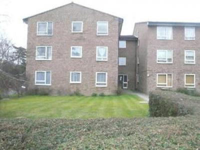 Annonce Location Appartement Bromley