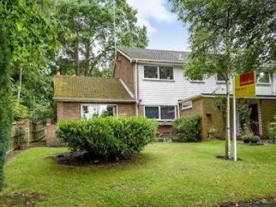 Annonce Vente Maison Camberley