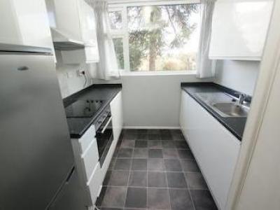 Annonce Location Appartement Bristol