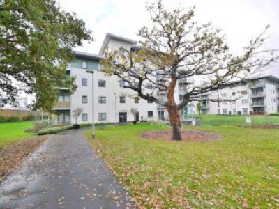 Annonce Location Appartement Brentwood