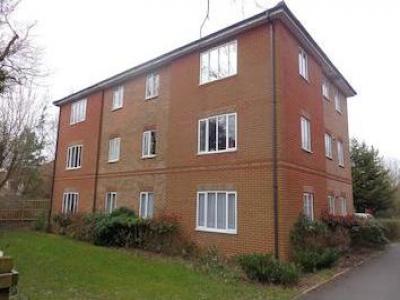 Annonce Location Appartement Fareham