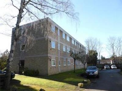 Annonce Location Appartement Camberley