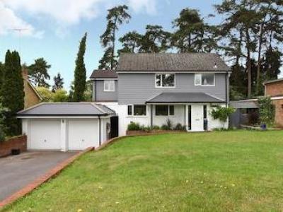 Annonce Vente Maison Camberley