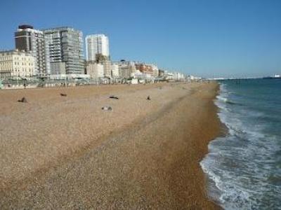 Annonce Location Appartement Brighton