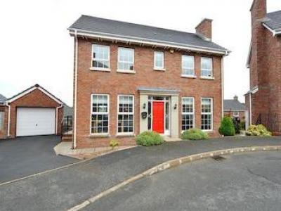 Annonce Vente Maison Downpatrick