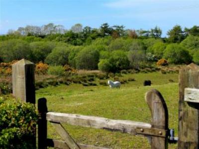 Acheter Maison Bangor rgion NORTHERN IRELAND