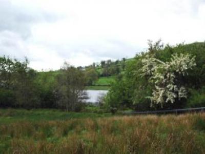 Acheter Maison Enniskillen