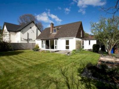 Annonce Vente Maison Belfast