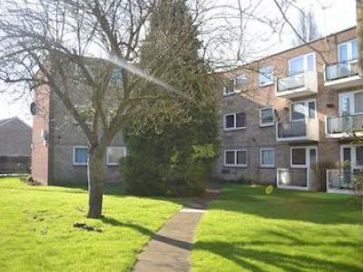 Annonce Location Appartement Maidenhead